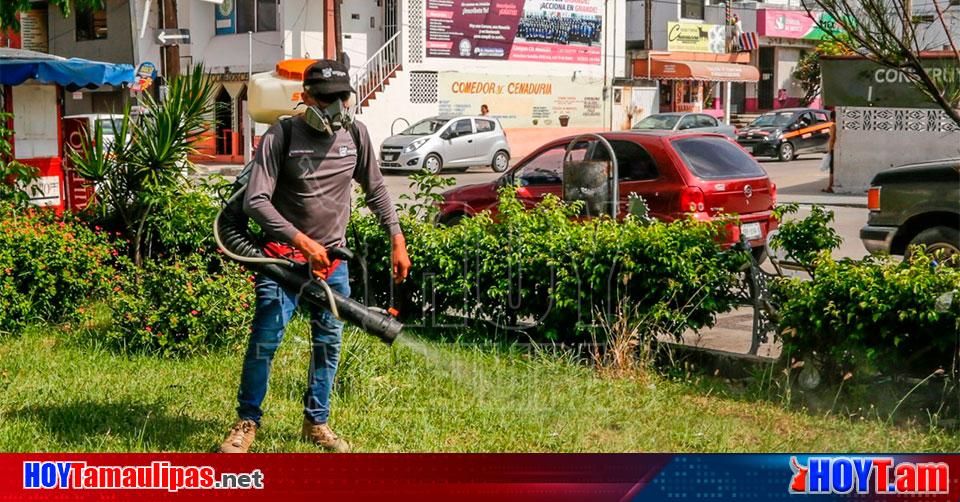 Hoy Tamaulipas Tamaulipas Intensifican Trabajos De Fumigacion En