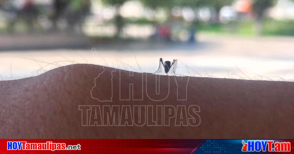 Hoy Tamaulipas Tamaulipas Niegan Que Sea Por Omision Aumento En Casos