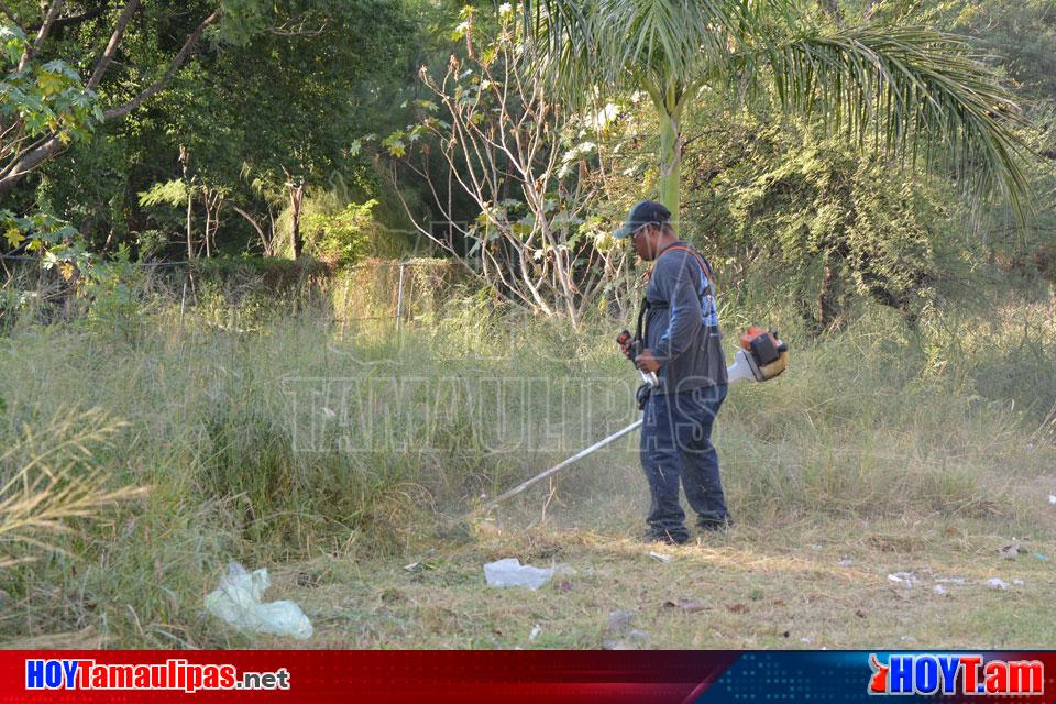 Hoy Tamaulipas Supervisa Alcalde Limpieza De Drenes Pluviales