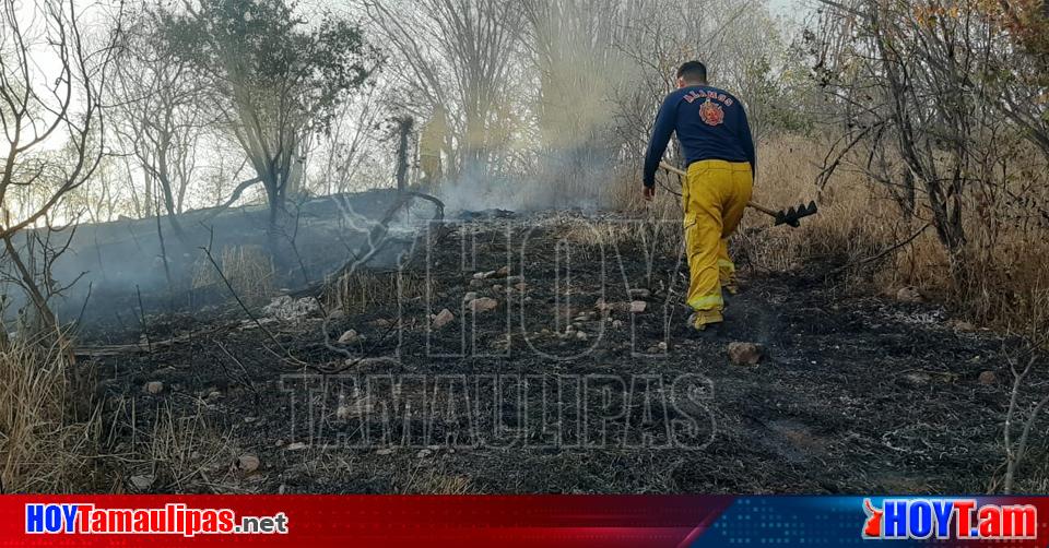 Hoy Tamaulipas Incendios Forestales En Tamaulipas Aumentan Un Los