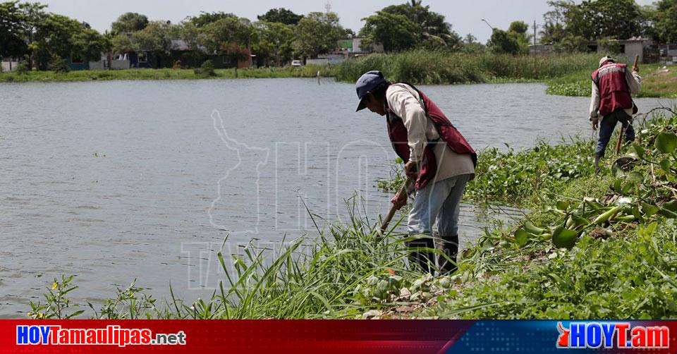 Hoy Tamaulipas Gobierno De Ciudad Madero Permanentes Los Trabajos De