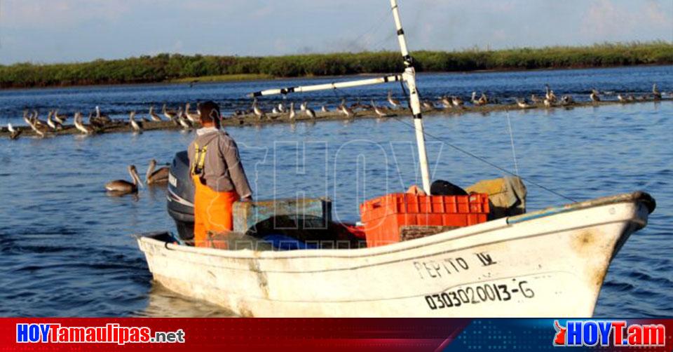 Hoy Tamaulipas Tamaulipas Afectados Pescadores De San Fernando Por