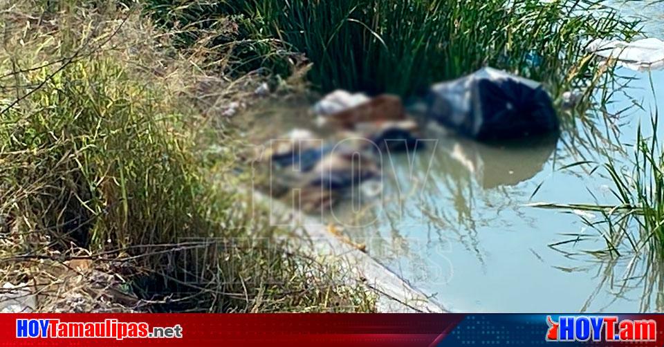 Hoy Tamaulipas Inseguridad En Tamaulipas Lo Asesinan Ensabanan Y