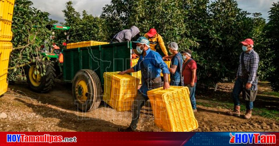 Hoy Tamaulipas Guadalajara Jalisco Segundo En Creacion De Empleos A