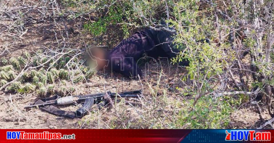 Hoy Tamaulipas Sdr Tamaulipas Abate Ejercito Mexicano A Tres Mugrosos