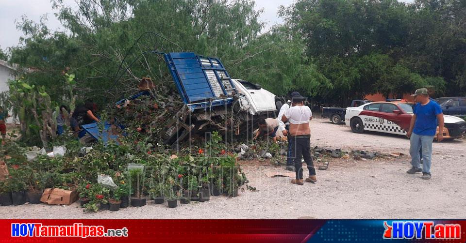 Hoy Tamaulipas Tamaulipas Vuelca Camioneta Cargada Con Matas En La