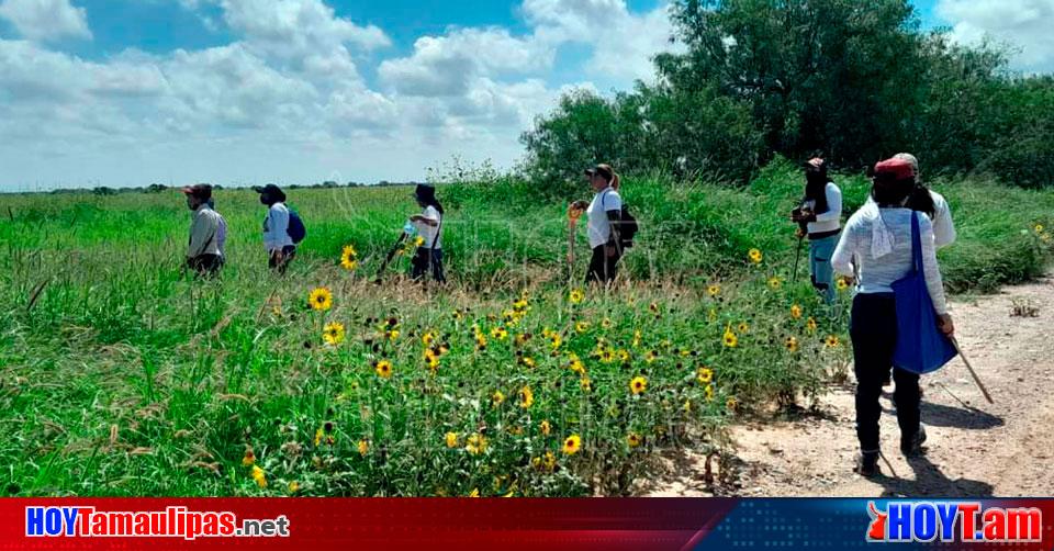 Hoy Tamaulipas Tamaulipas Colectivos Siguen Buscando En Predios De