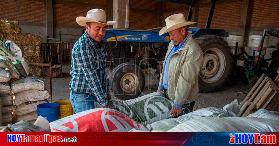 Hoy Tamaulipas Entregara Agricultura Mas De Mil Toneladas De