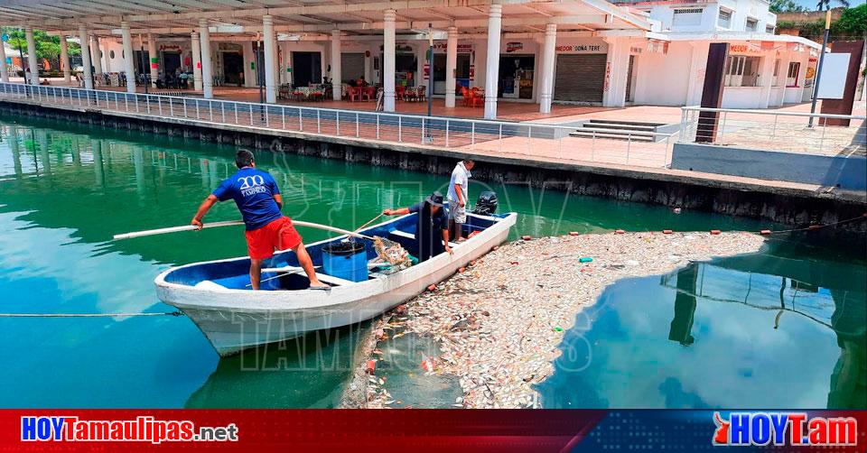 Hoy Tamaulipas Tamaulipas Refuerzan Limpieza En Canal De Tampico Por