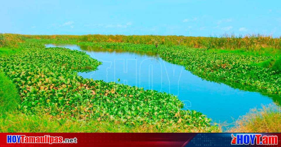 Hoy Tamaulipas Reservas Se Agotan Urgen Lluvias Para Captacion En