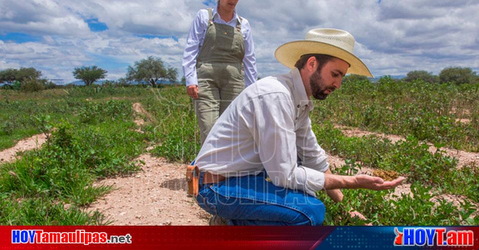 Hoy Tamaulipas Y No Se Detiene Avances Del Programa Produccion Para