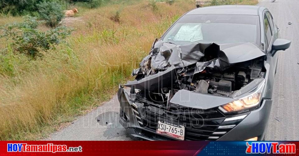 Hoy Tamaulipas Tamaulipas Choca Con Vaca Y Destruye Su Auto En