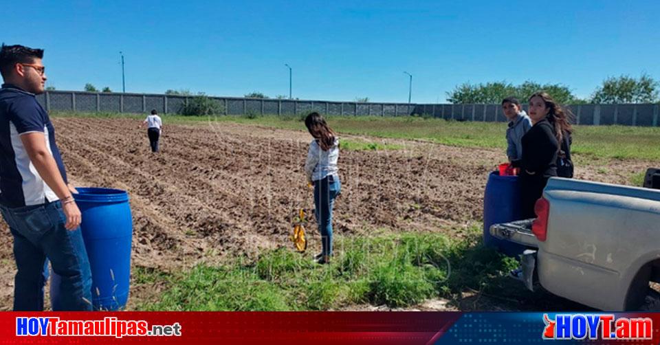 Hoy Tamaulipas Mexico Promueve Agricultura Huertos Familiares Y