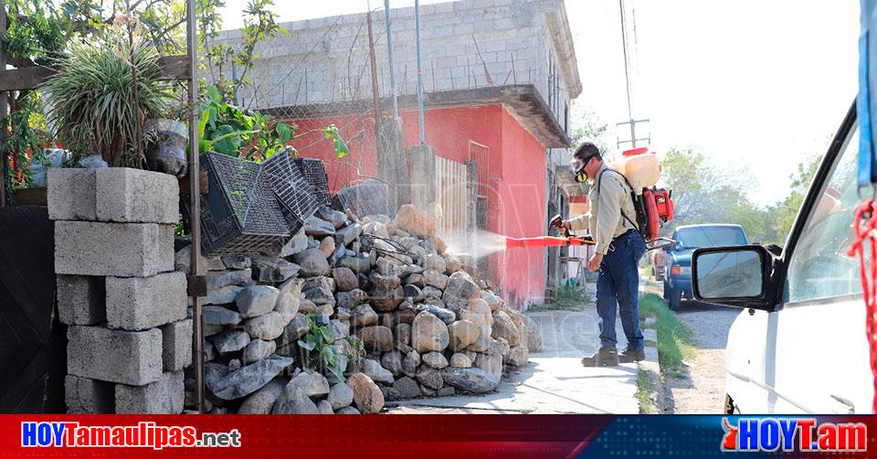 Hoy Tamaulipas Saldud En Tamaulipas Fumigacion No Es Suficiente Para