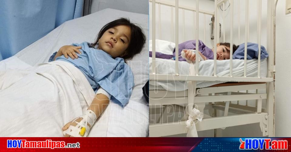 Hoy Tamaulipas Diagnostican Con Leucemia A Ninia De Anios Lucha Por