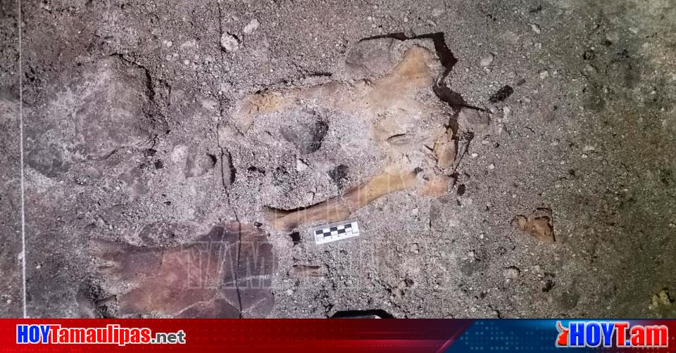 Hoy Tamaulipas Descubren Un Chultun En La Zona Arqueologica De Tulum