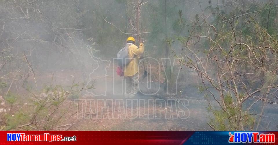 Hoy Tamaulipas Continua Combate Del Incendio En El Canion Del Novillo