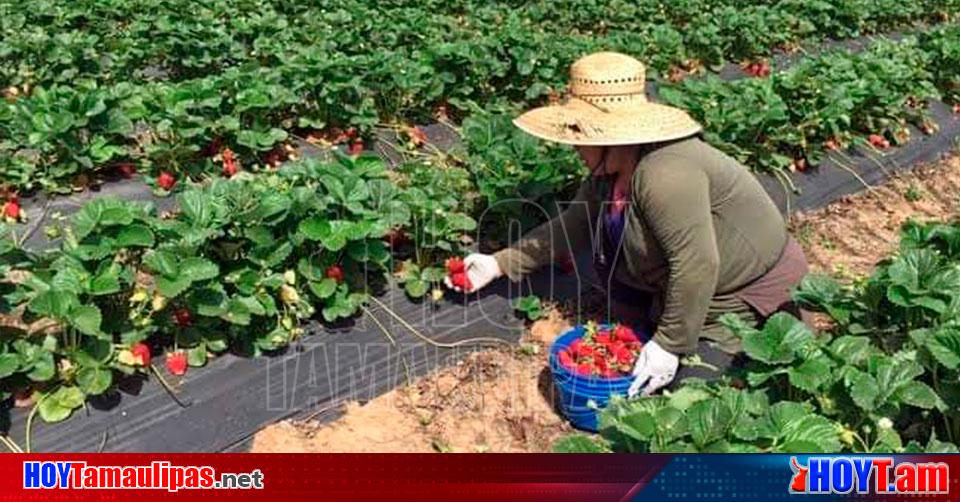 Hoy Tamaulipas Tamaulipas Advierte Consulado De Eu En Nuevo Laredo