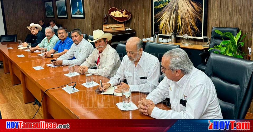 Hoy Tamaulipas Tamaulipas Reconoce Federacion Que No Hay Recursos