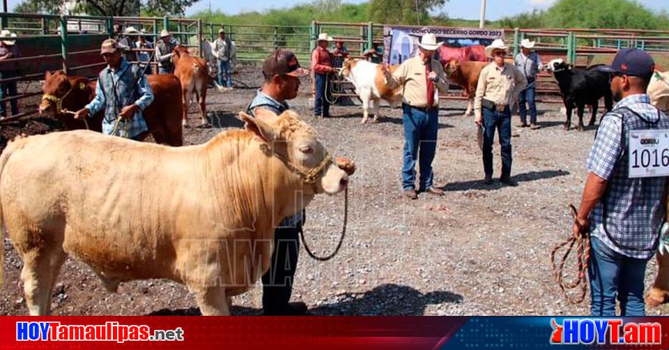 Hoy Tamaulipas Ganaderia En Tamaulipas Sigue Tamaulipas En La Lucha