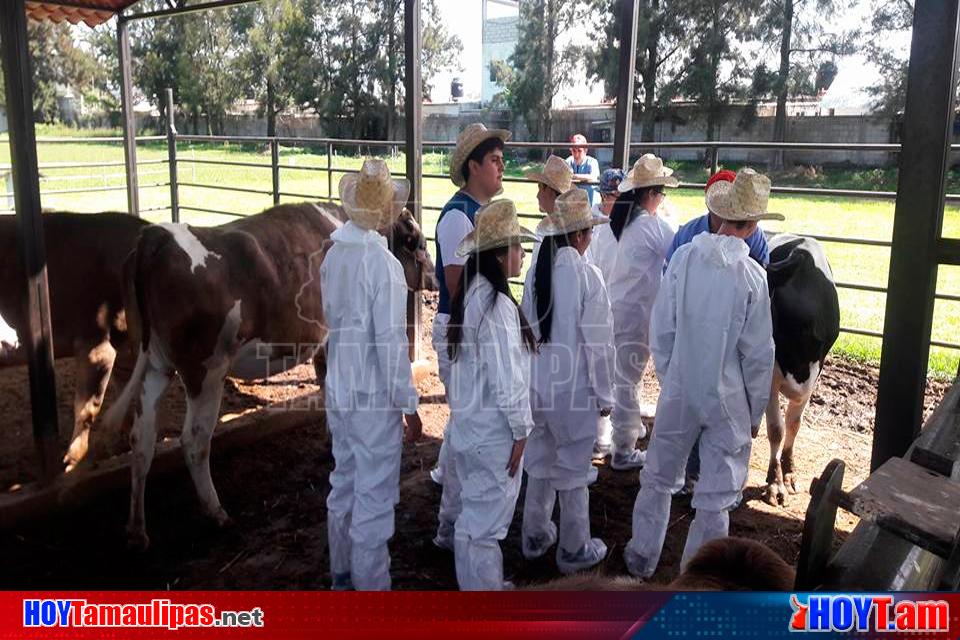 Hoy Tamaulipas Aspirantes Se Adentran En Ciencias Biologicas De