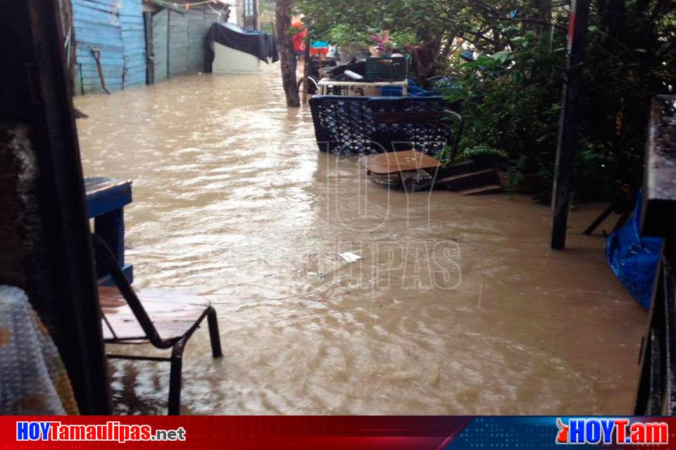 Hoy Tamaulipas Inundaciones Autos Varados Y Arboles Caidos Deja