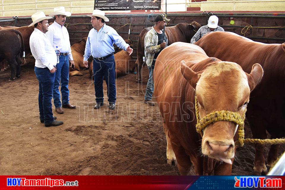 Hoy Tamaulipas Todo Esta Listo Para Iniciar El Programa Mejoramiento