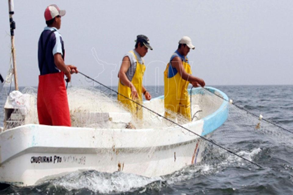 Hoy Tamaulipas Urge Regular Permisos De Pesca Se Avizora Desabasto De