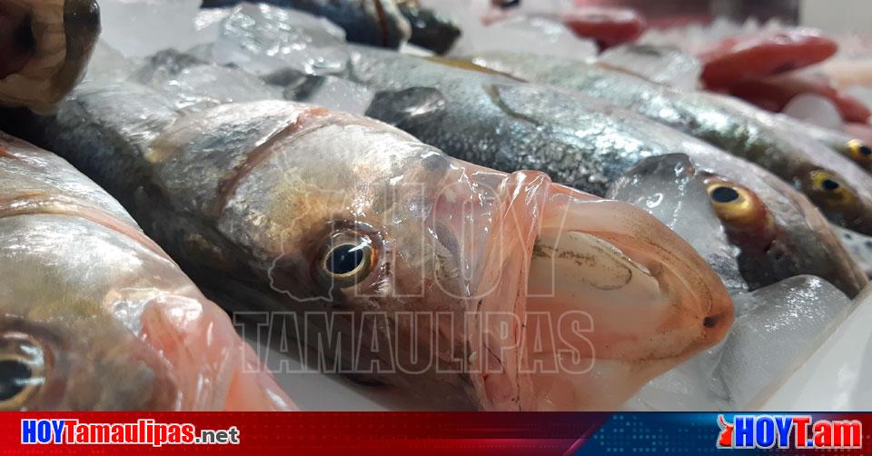 Hoy Tamaulipas - Por mal tiempo y escasez suben precio de mariscos en Madero