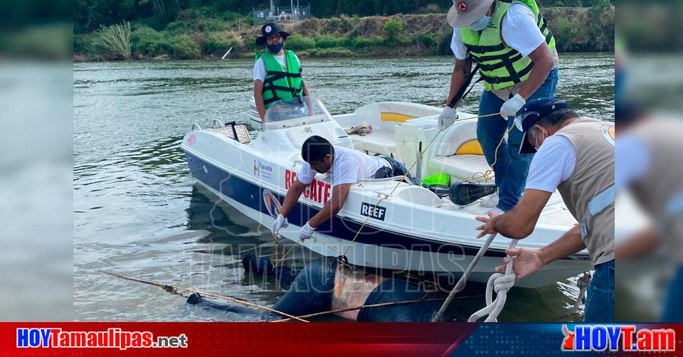 Rescatan Cuerpo De Ahogado En El Rio Bravo En Miguel Aleman Hoy Tamaulipas