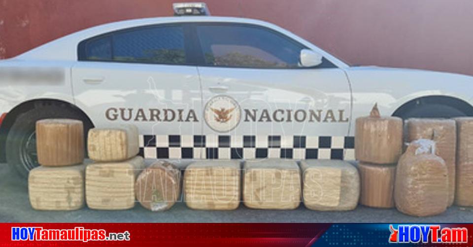 Hoy Tamaulipas Aseguran 160 Kilogramos De Marihuana En Autobus De