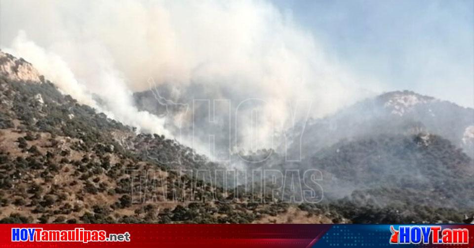 Hoy Tamaulipas   Hermosillo Incendio Forestal Afecta Mil 200 Hectareas