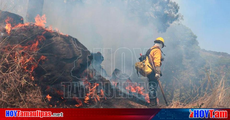 Hoy Tamaulipas Incendio Forestal En Mexico Mueren En Edomex Dos Combatientes Forestales 6058