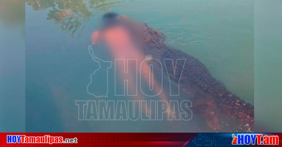 Hoy Tamaulipas - Ataque de cocodrilo en Tamaulipas Rescatan cuerpo de joven atacado  por cocodrilo en laguna de Tampico