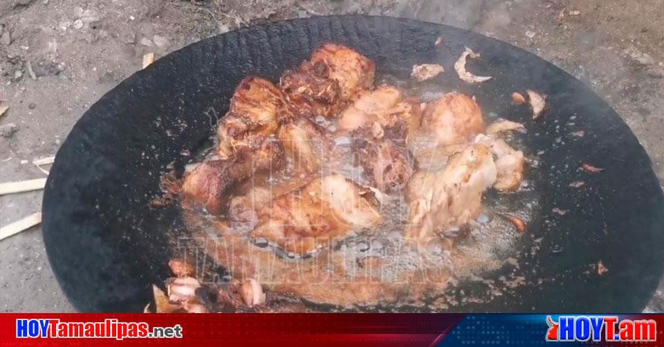 Hoy Tamaulipas - Cocodrilos en Tamaulipas Carnitas de cocodrilo se venden a  60 pesos el kilo en Altamira