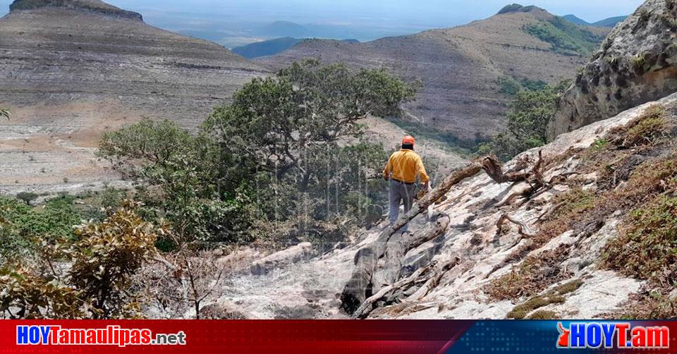 Hoy Tamaulipas - Extinguen PC Tamaulipas y Conafor incendio forestal en ...