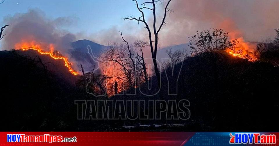 Hoy Tamaulipas   Tamaulipas Catastrofico Incendio Forestal En Sierra De