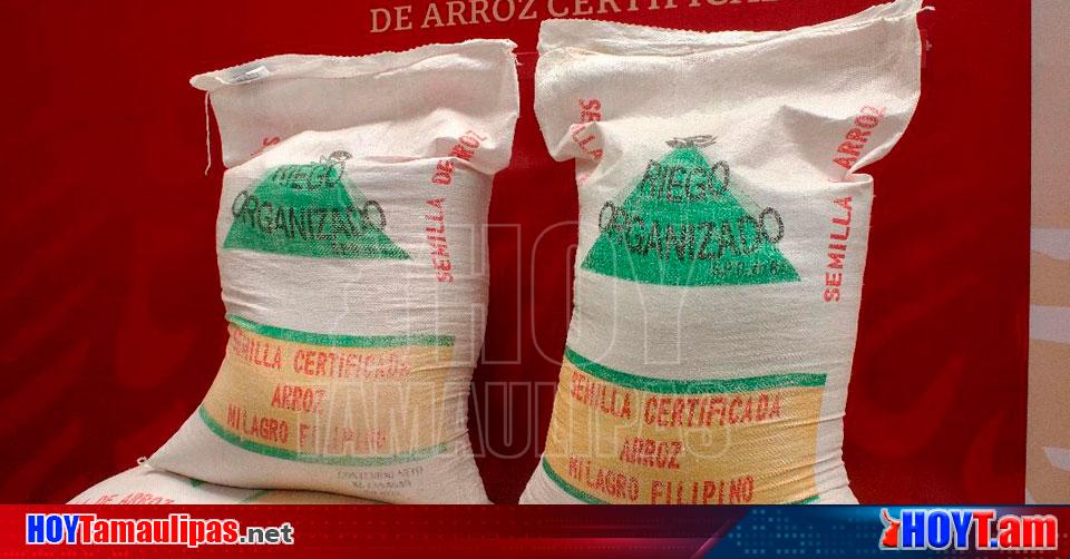 Hoy Tamaulipas - Apuesta Agricultura por recuperar vocacion productiva ...