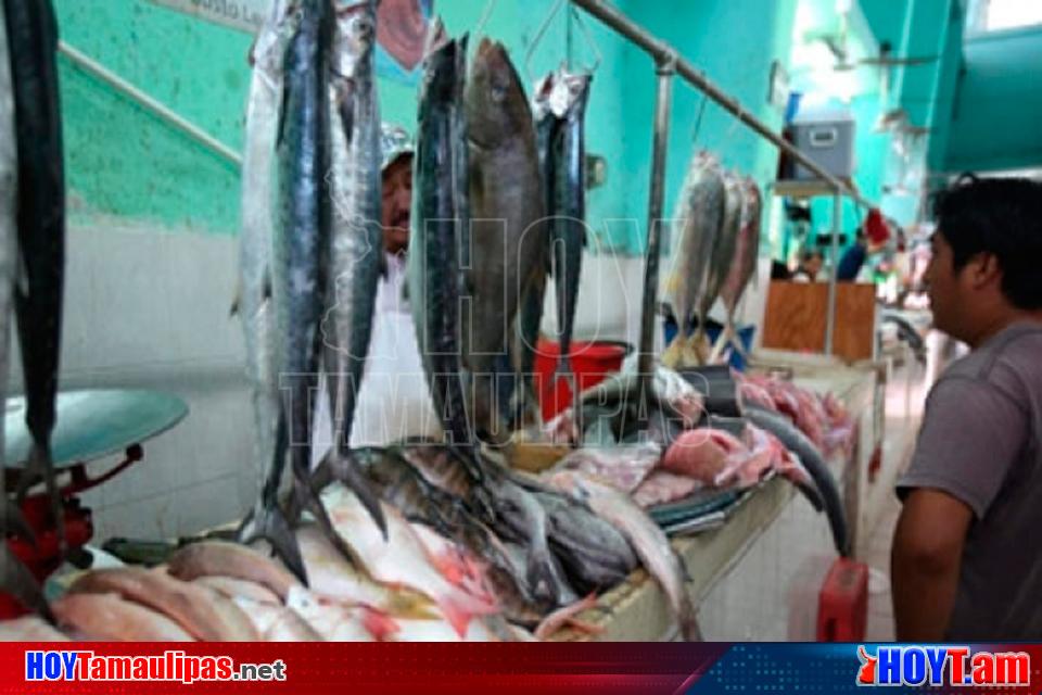 Hoy Tamaulipas - Mercado de La Nueva Viga ofrece mas de 500 especies de mar