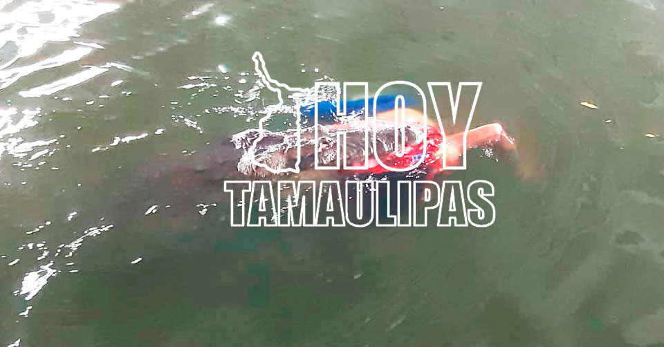 Hoy Tamaulipas - Tamaulipas Mujer muere por ataque de cocodrilo en laguna  de Tampico