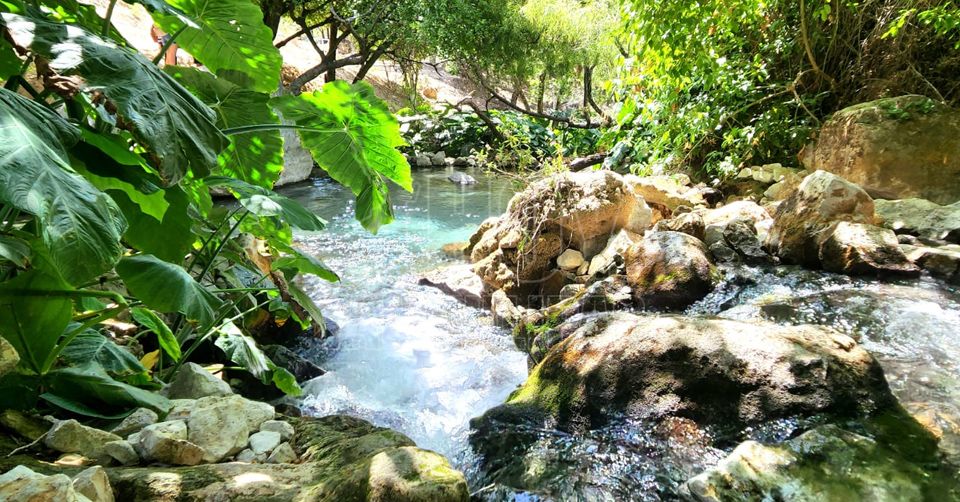 Hoy Tamaulipas - Turismo en Tamaulipas Balneario Los Nogales paraiso  turistico natural ideal para estas vacaciones