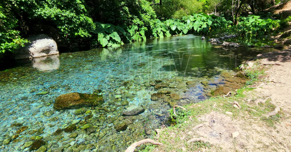 Hoy Tamaulipas - Turismo en Tamaulipas Balneario Los Nogales paraiso  turistico natural ideal para estas vacaciones