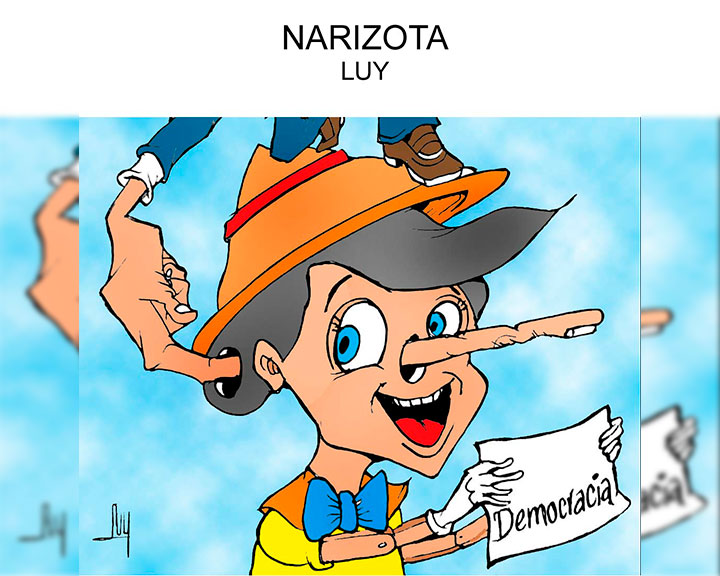 Narizota