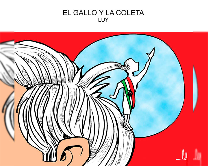 El gallo y la coleta