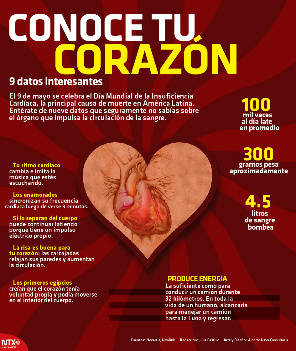 Conoce Tu Corazón 9 Datos Interesantes 1148