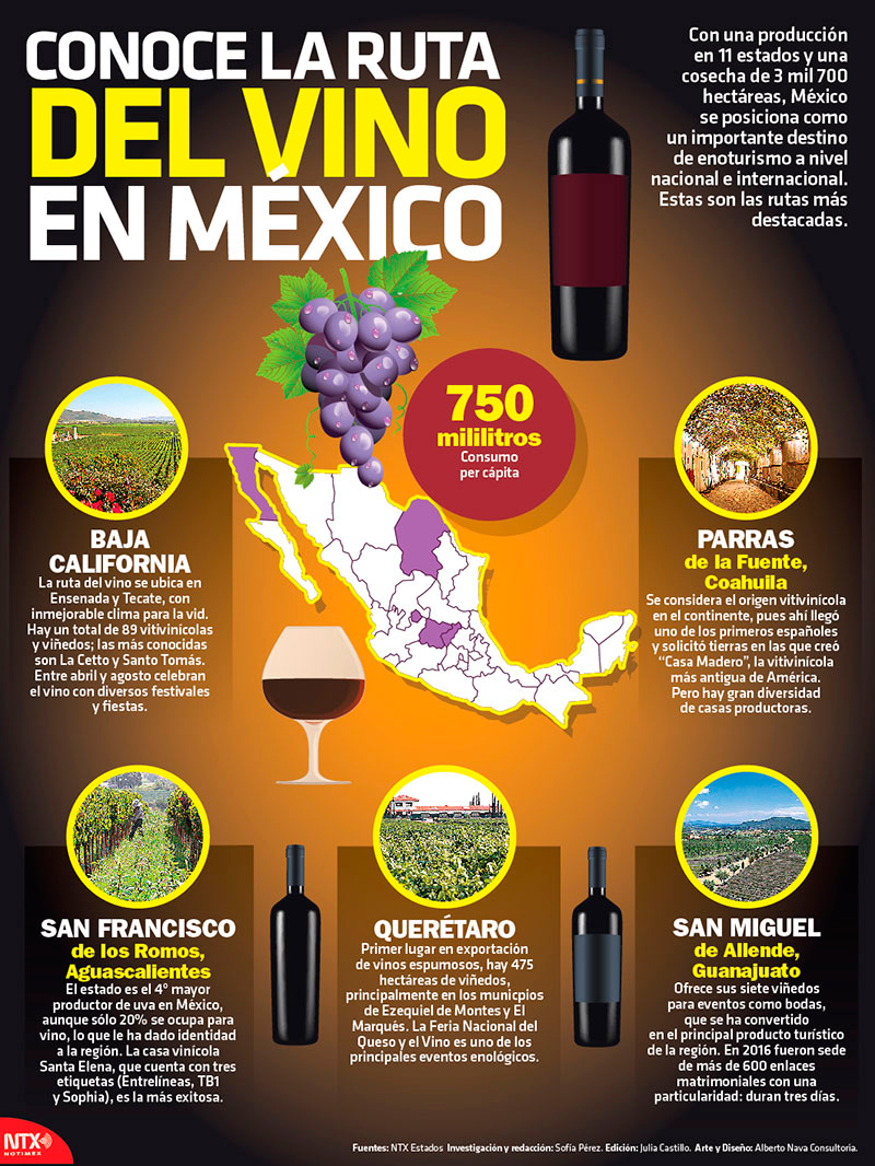 Conoce la ruta del vino en Mxico 