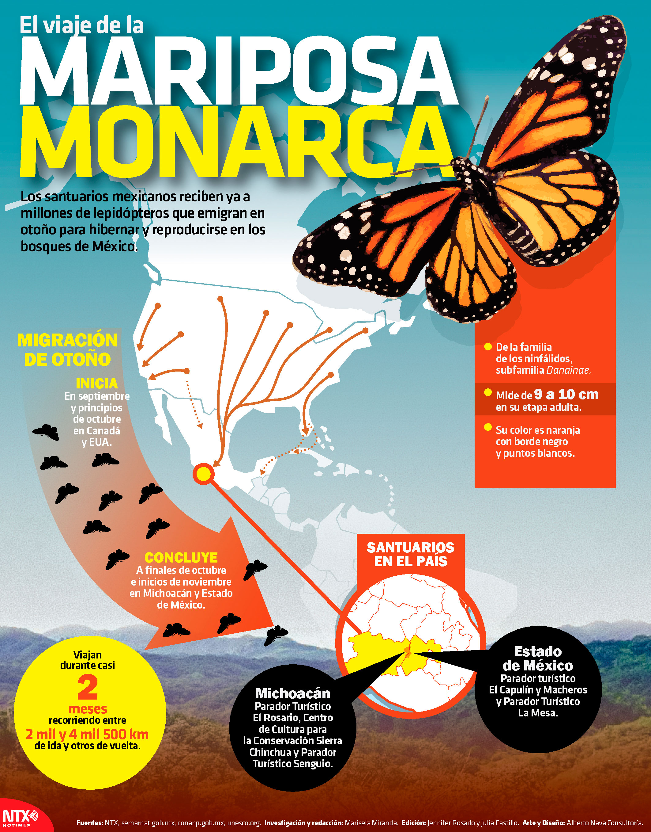 El viaje de la Mariposa Monarca