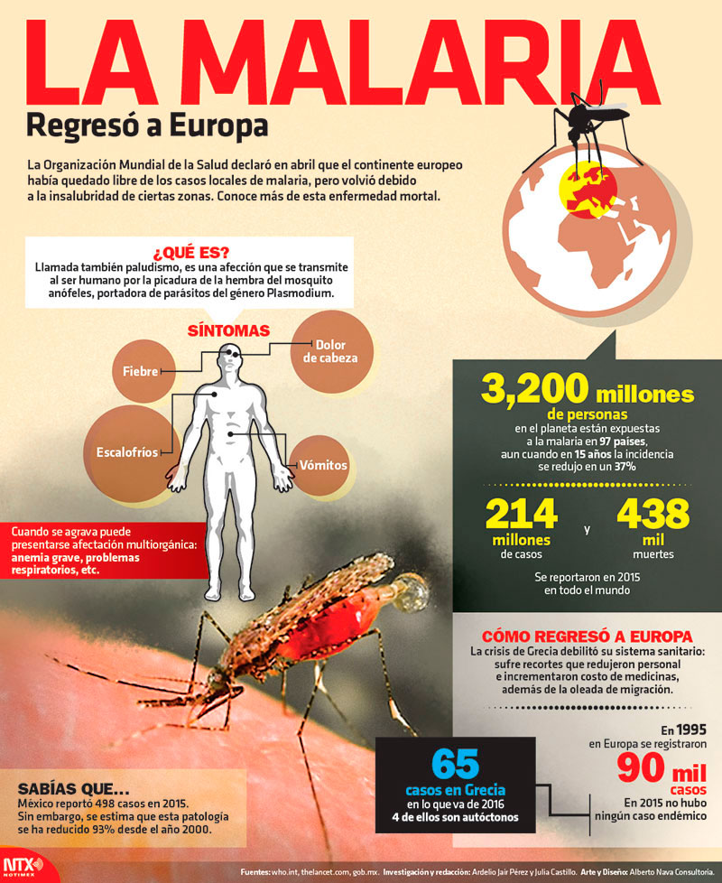 Hoy Tamaulipas - Infografía: La Malaria