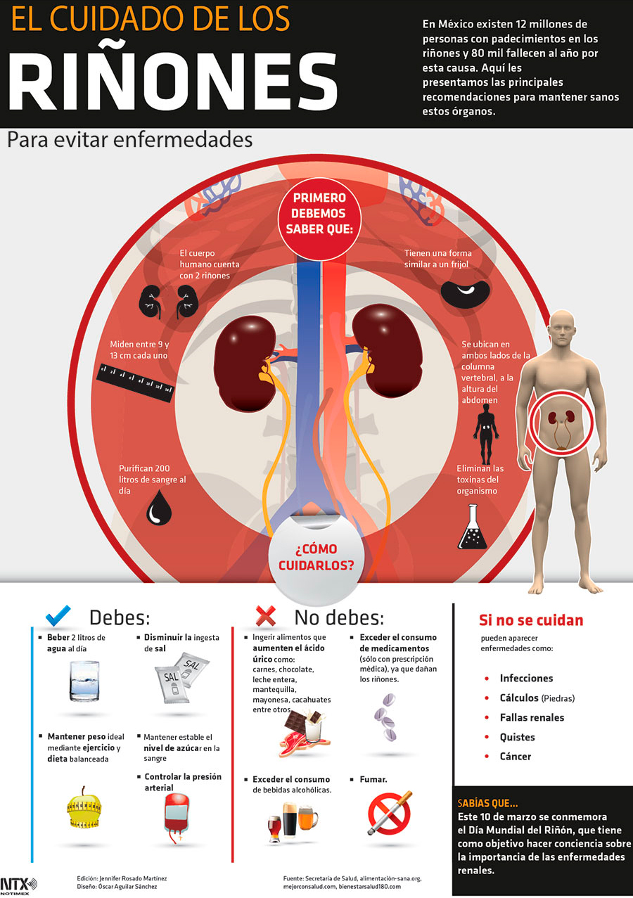 Hoy Tamaulipas Infografía El Cuidado De Los Riñones 1501