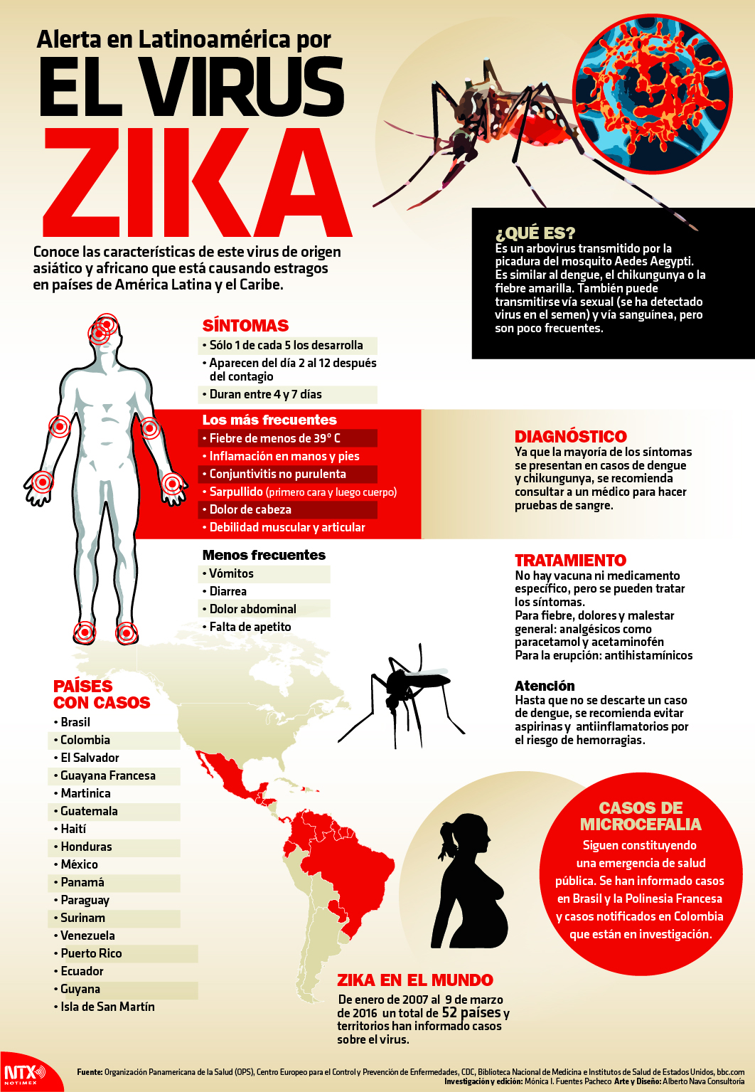 Alerta En Latinoamérica Por Virus Del Zika 